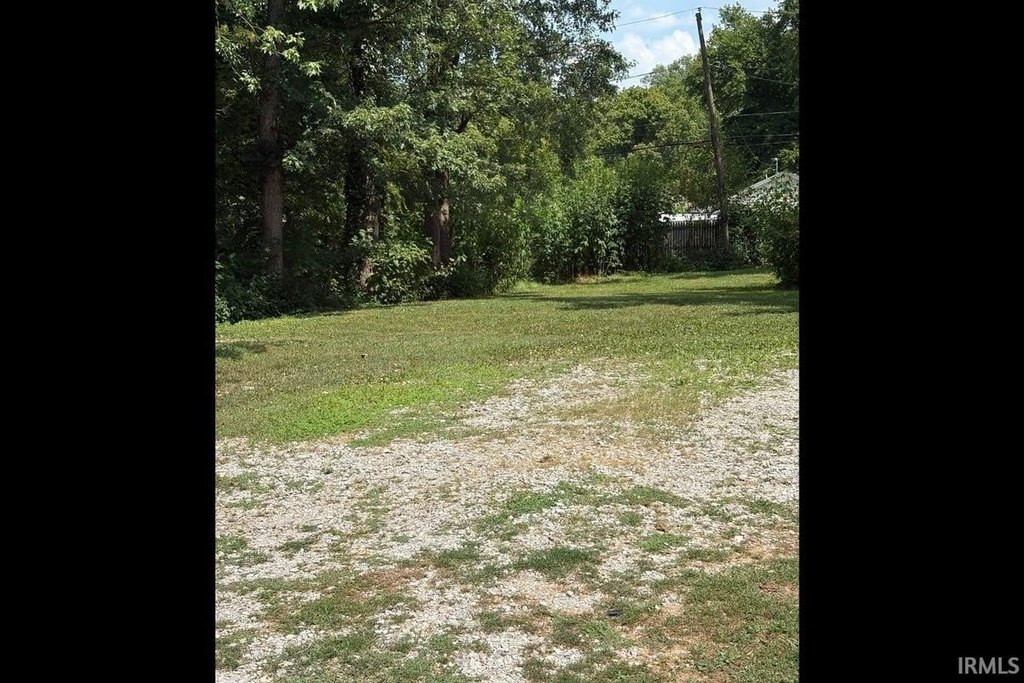 Picture 3