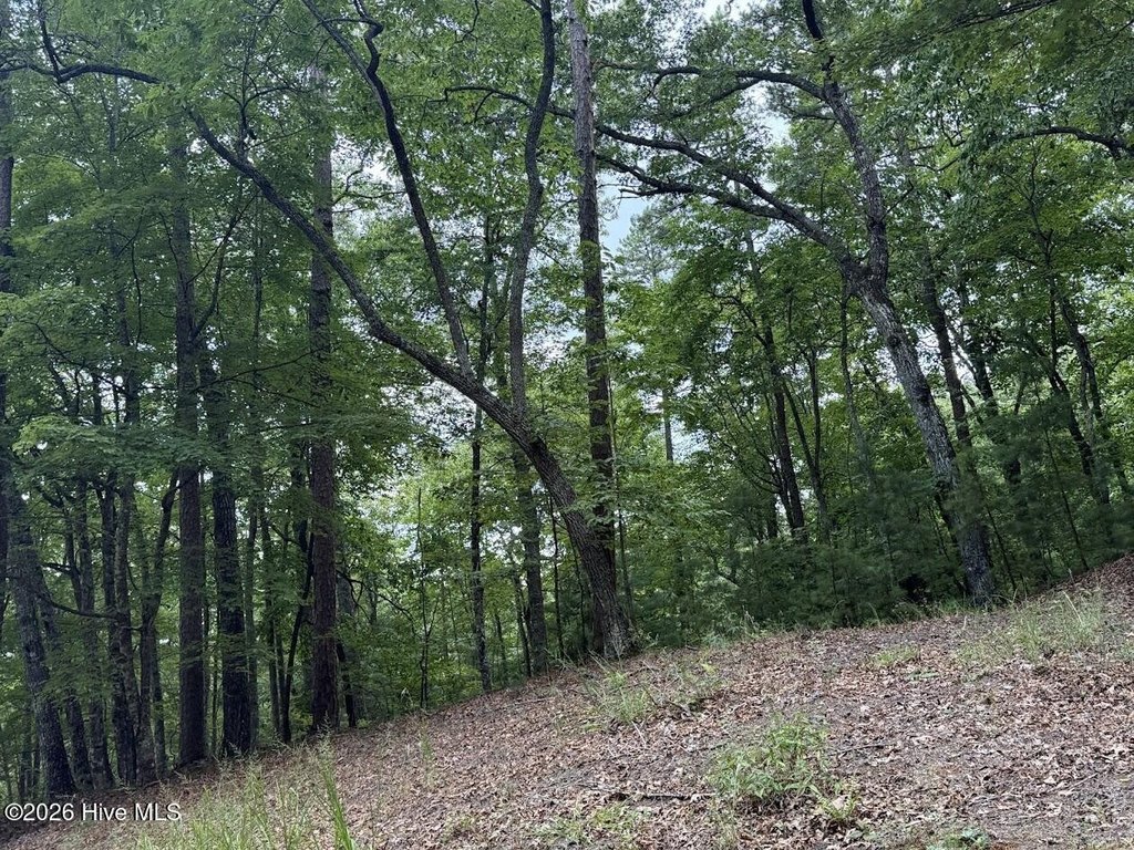 Picture 18