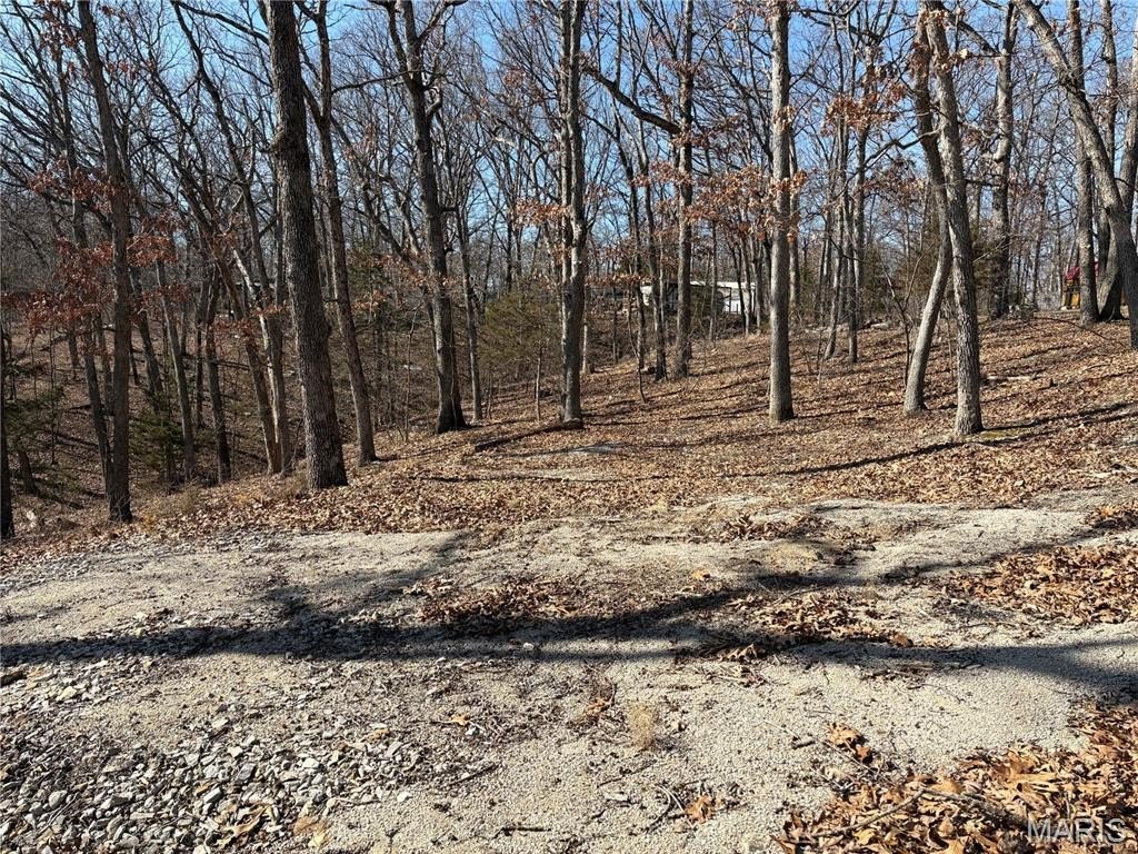 Picture 2