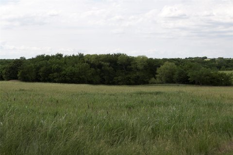 Gently Rolling Wooded Acreage