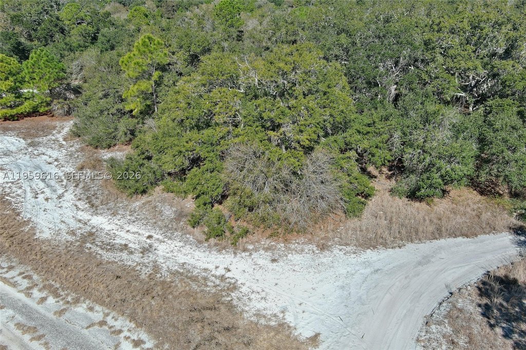 Picture 8
