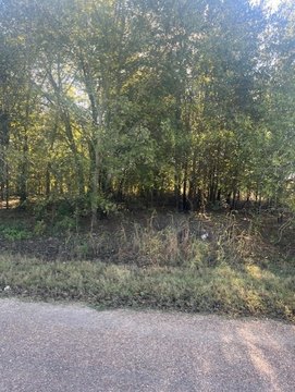 Residential Acreage in Terrell, Texas