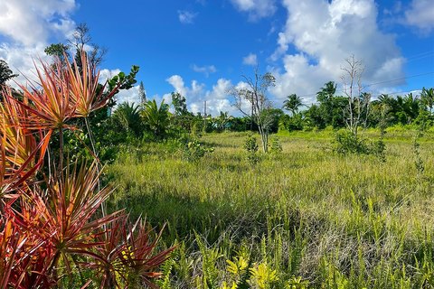 LAND - Pahoa, HI