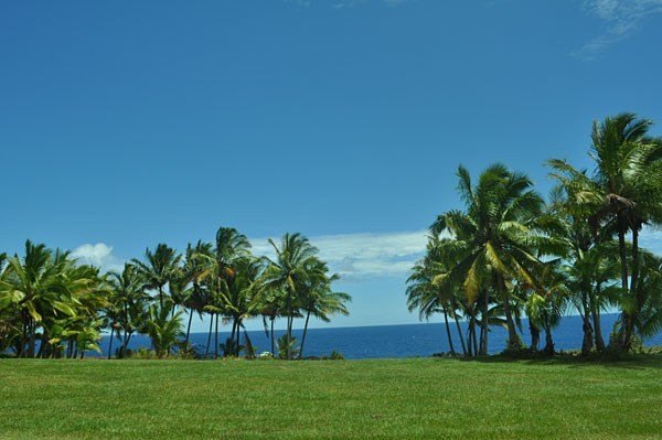 Picture 26