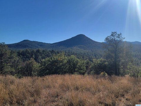 LAND - Silver City, NM