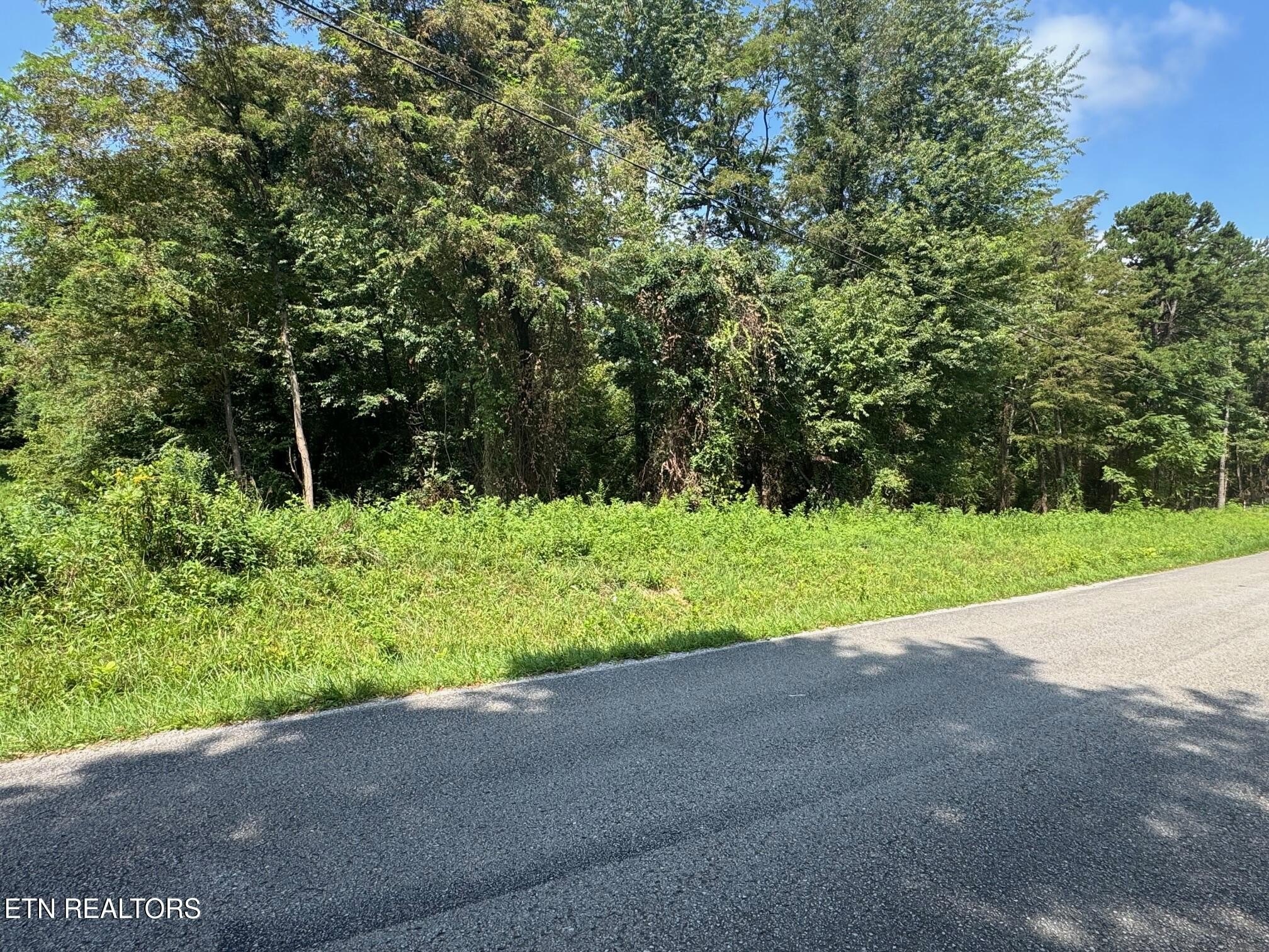 Wooded Land in Jamestown, TN