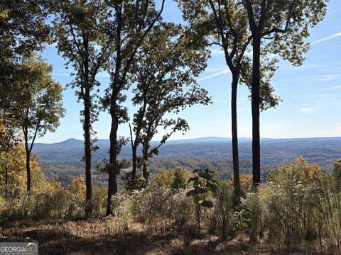 50 Acres Mountain Estate Land