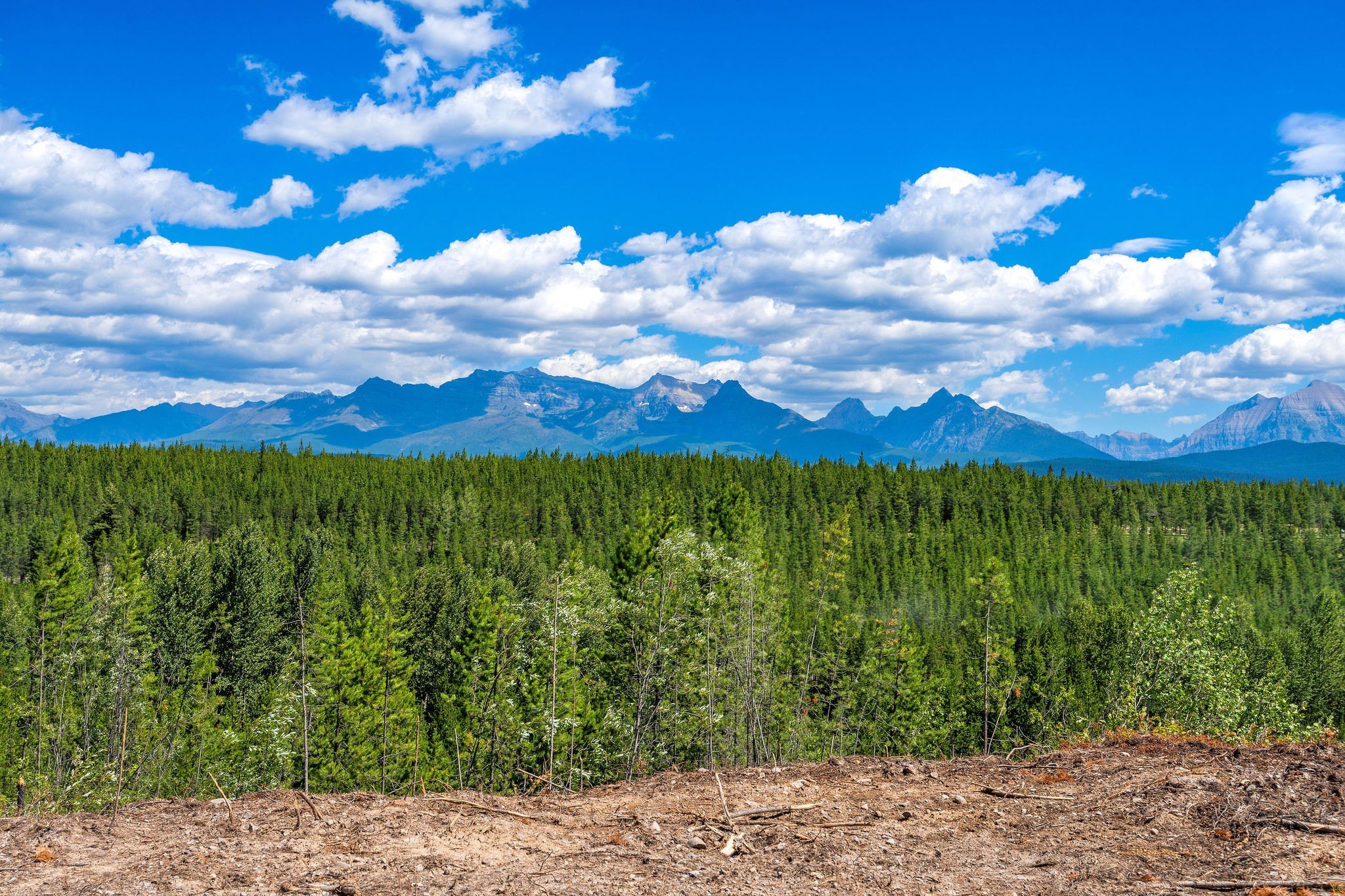 114 Acres Near Glacier Park