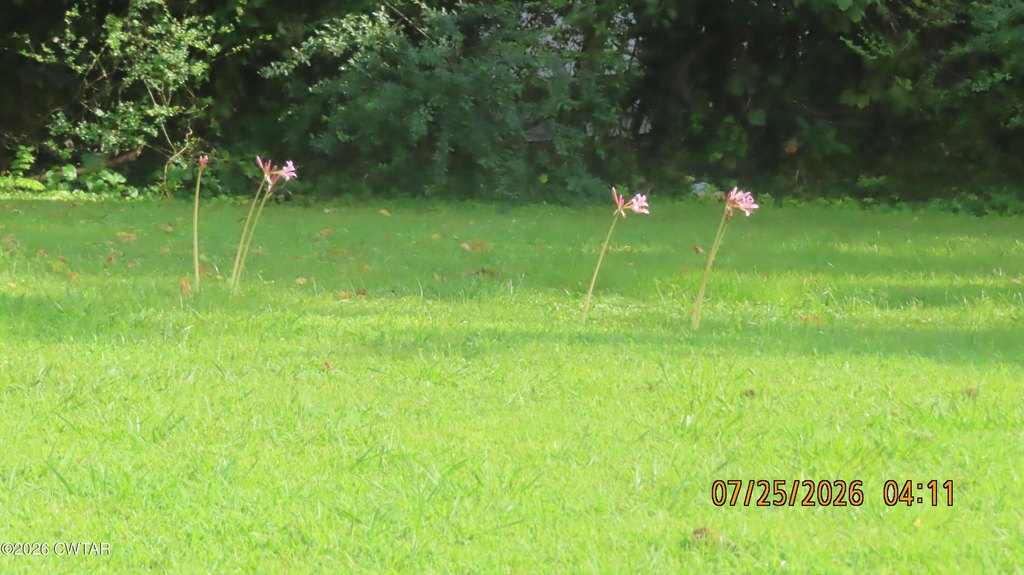 Picture 8