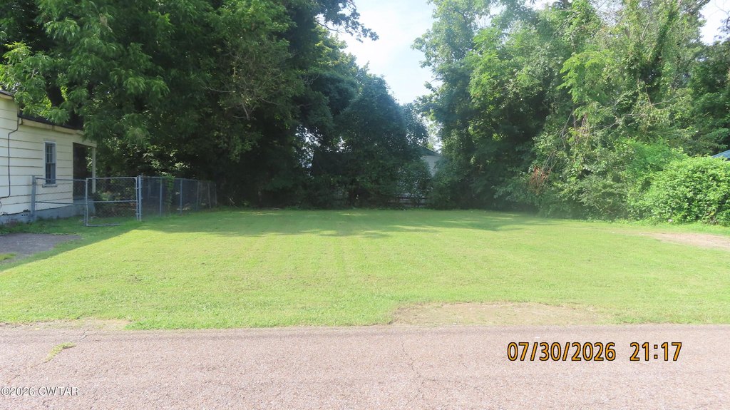 Picture 6