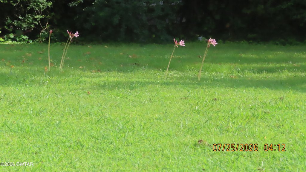 Picture 9