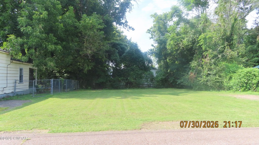 Picture 5
