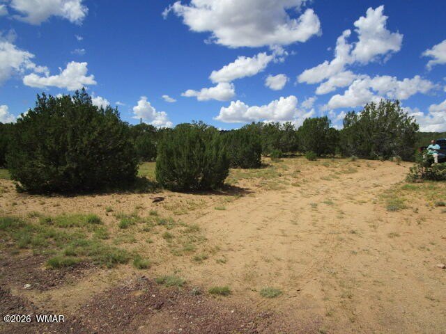 Picture 14