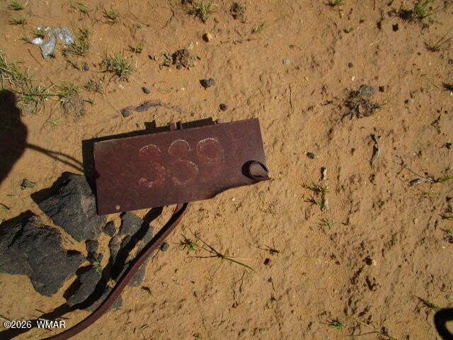 Picture 11