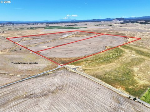 80 Acres Prime Land Goldendale