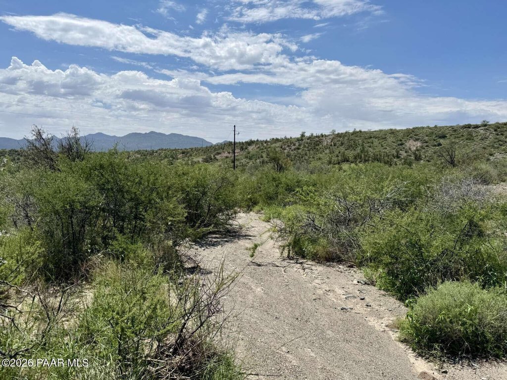 Picture 27