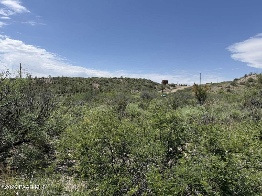 Picture 19