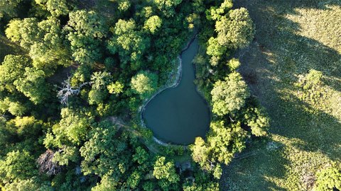 Land, Tennessee Colony, TX