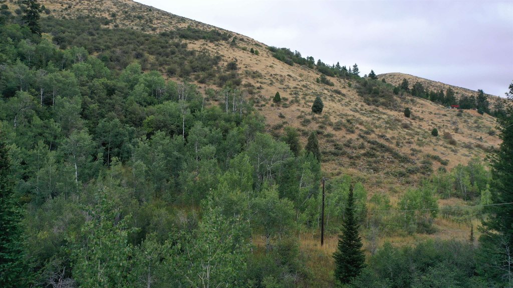 Picture 32