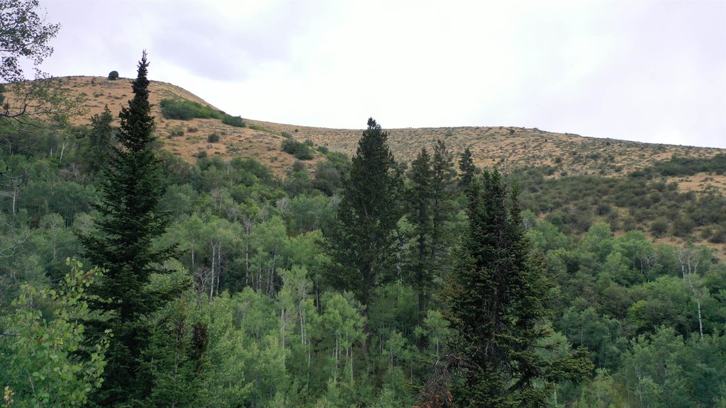 Picture 26