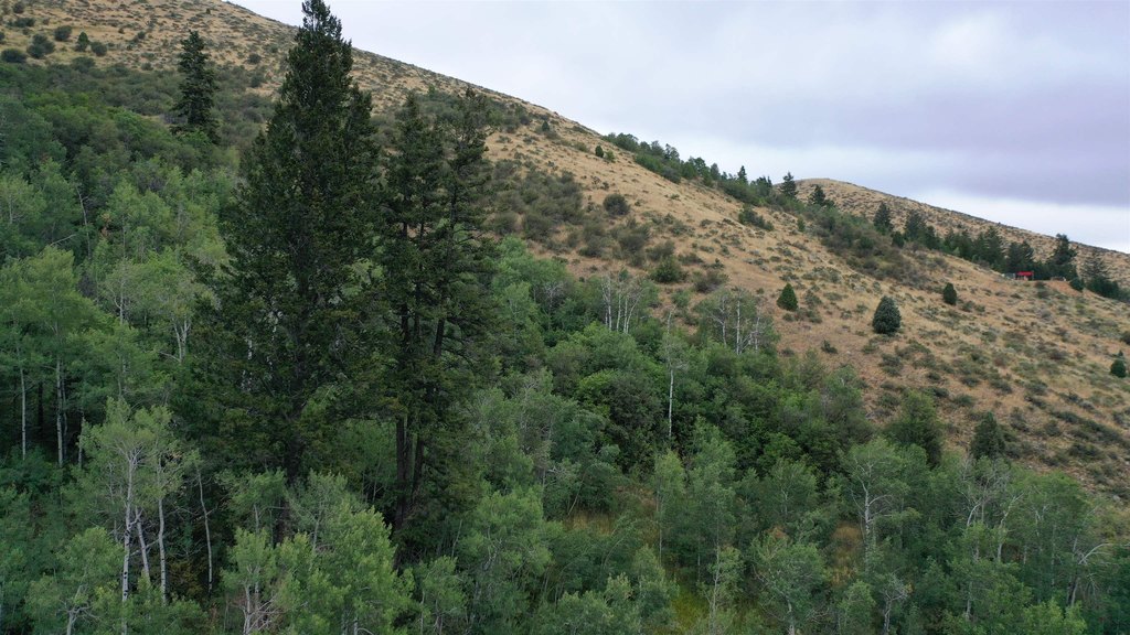 Picture 25