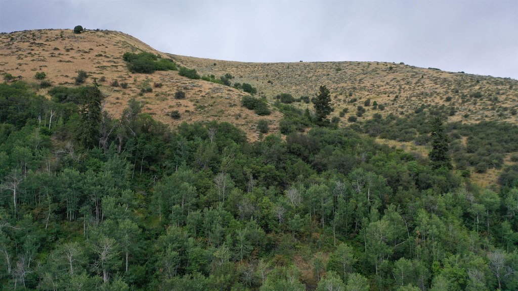 Picture 30