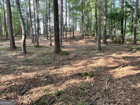 LAND - Rome, GA