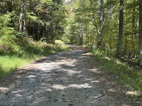 Private Wooded Land, Terra Alta