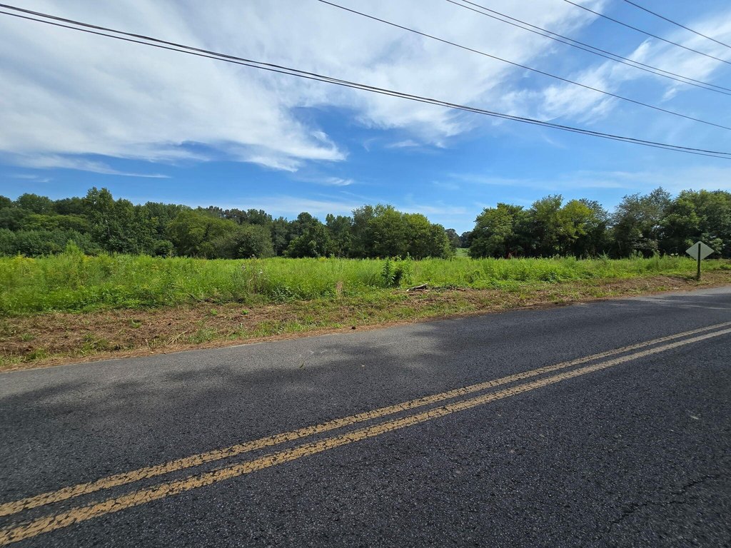 Picture 7
