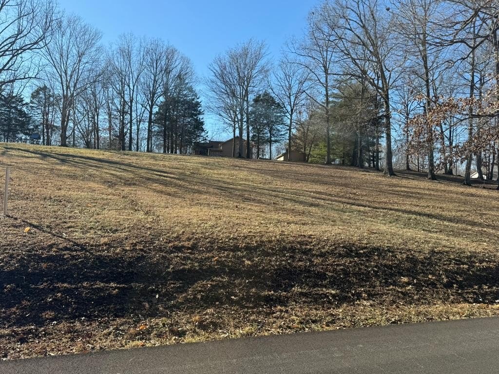 Cleared Lot in Albany, KY