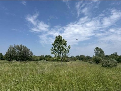 Land, Fennville, MI