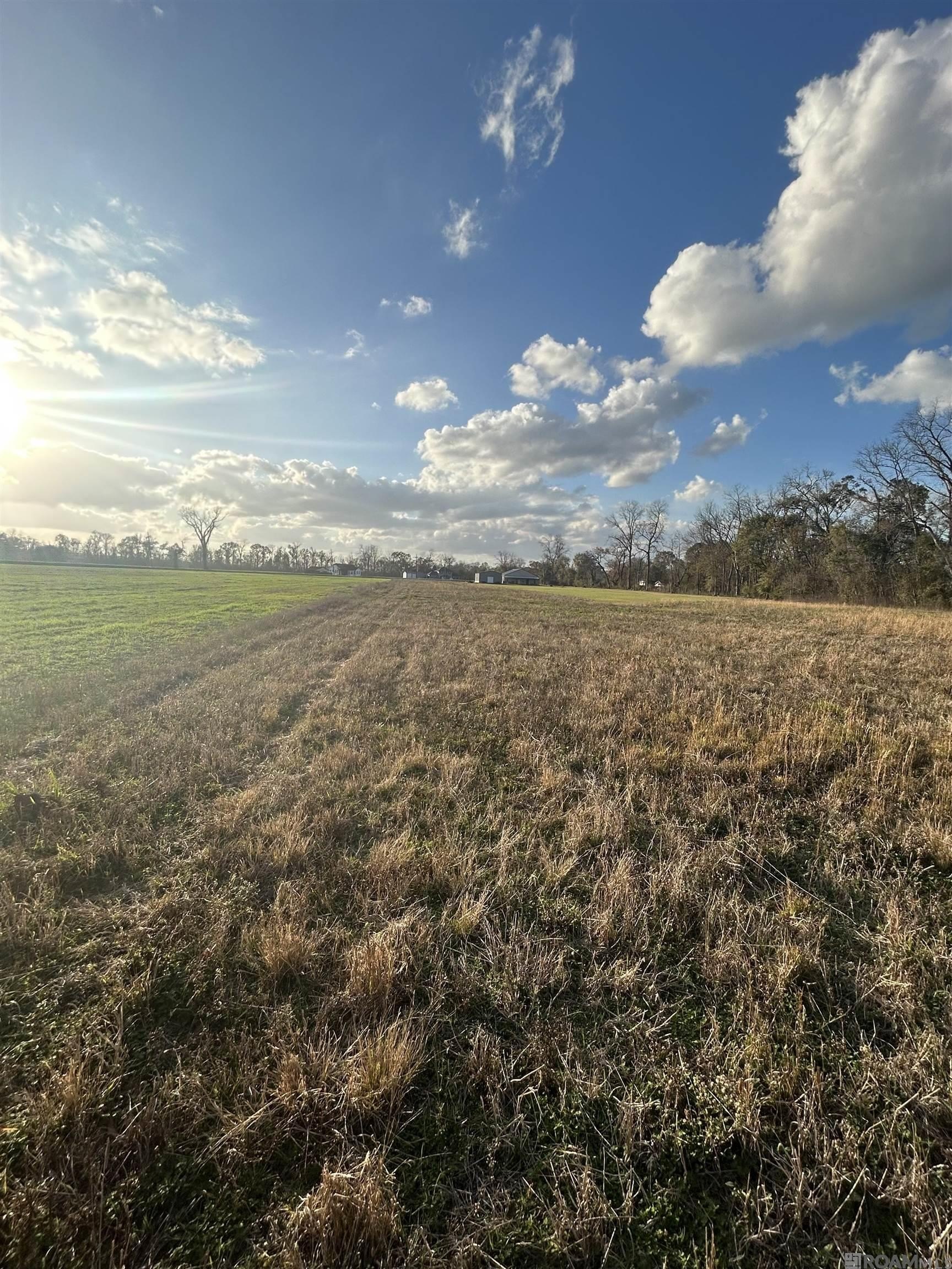 8.24 Acres of Unimproved Land