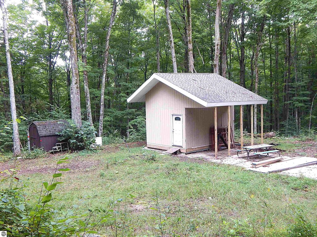 Picture 11