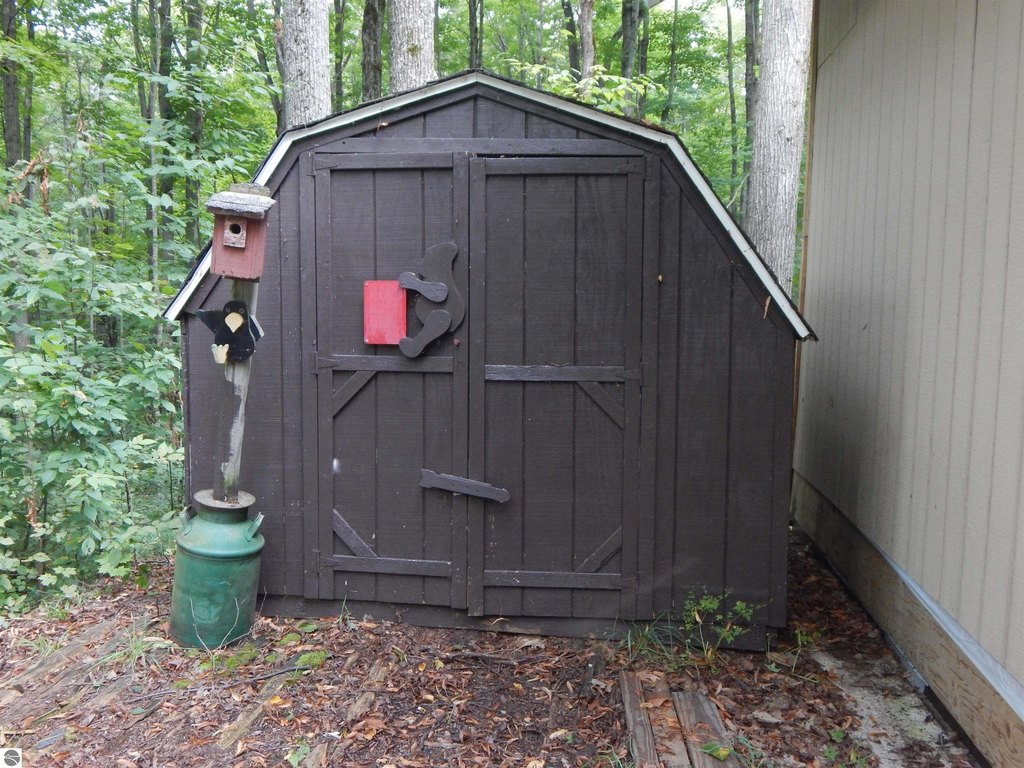 Picture 5
