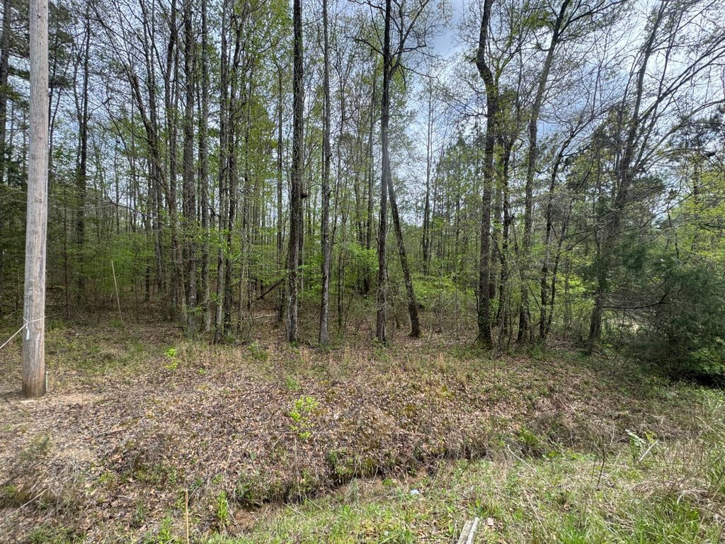 Picture 26