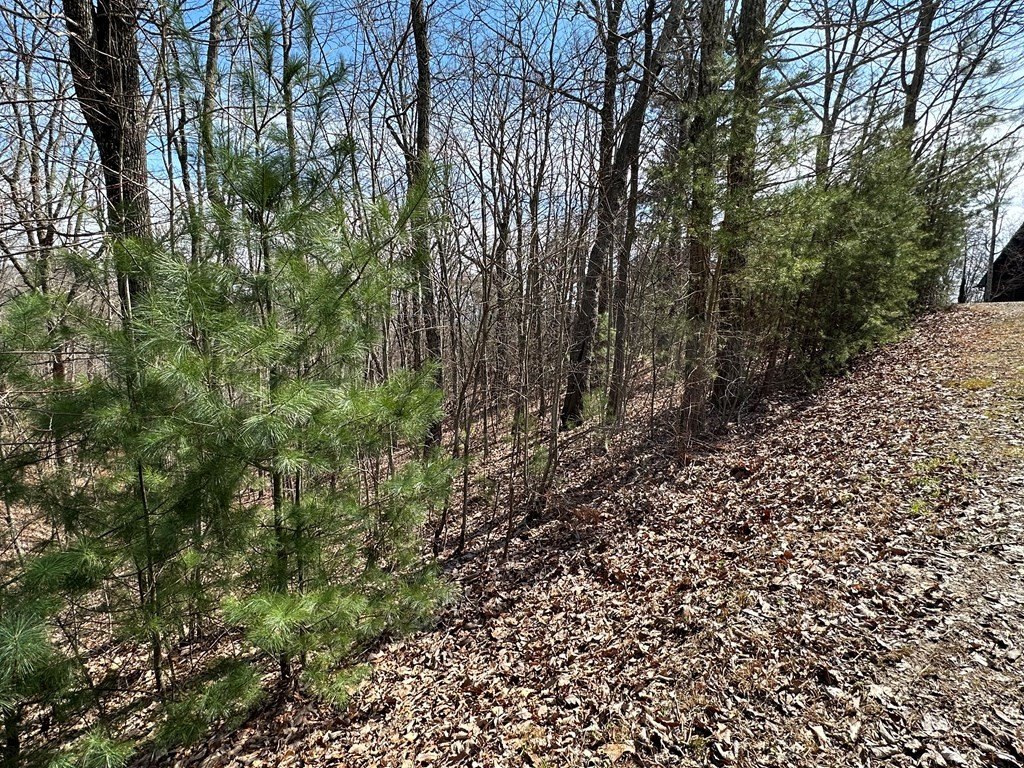 Picture 3