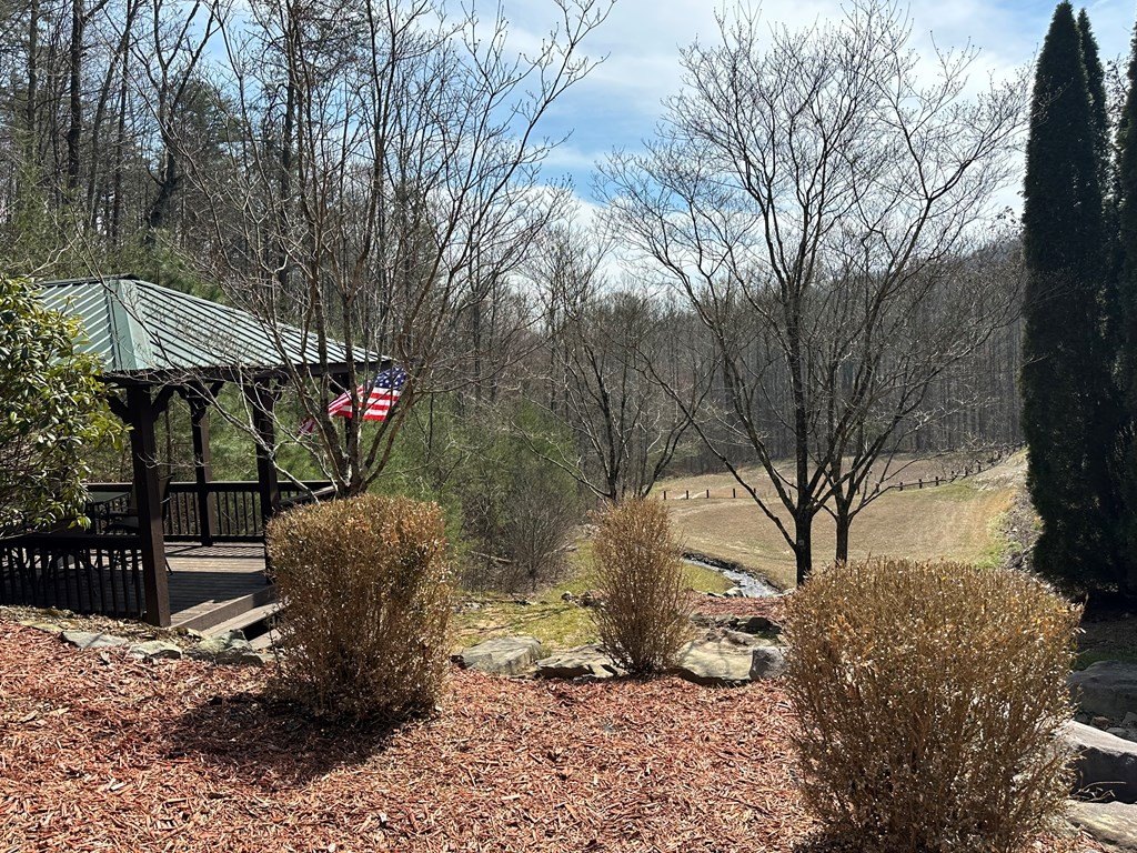 Picture 14