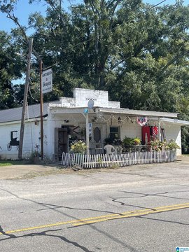 Established Antique Store in Fredonia