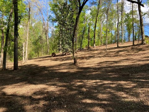 Residential Lot Near Lake Seminole