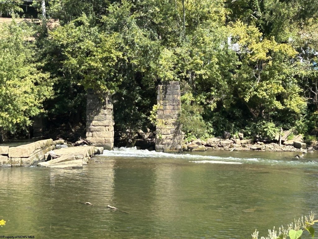 Picture 6