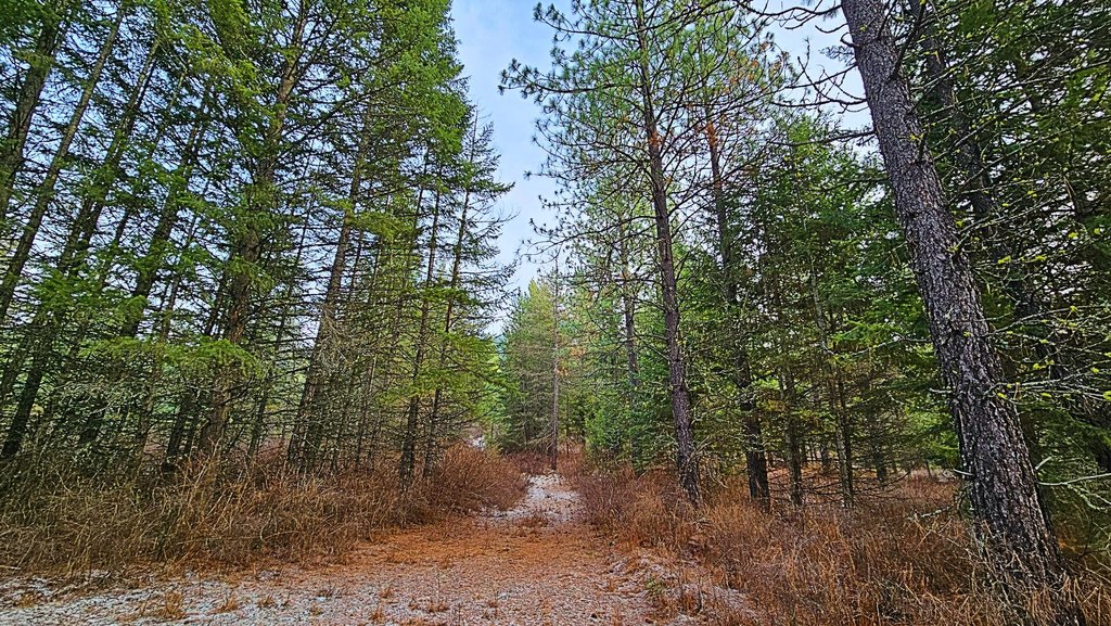 Picture 7