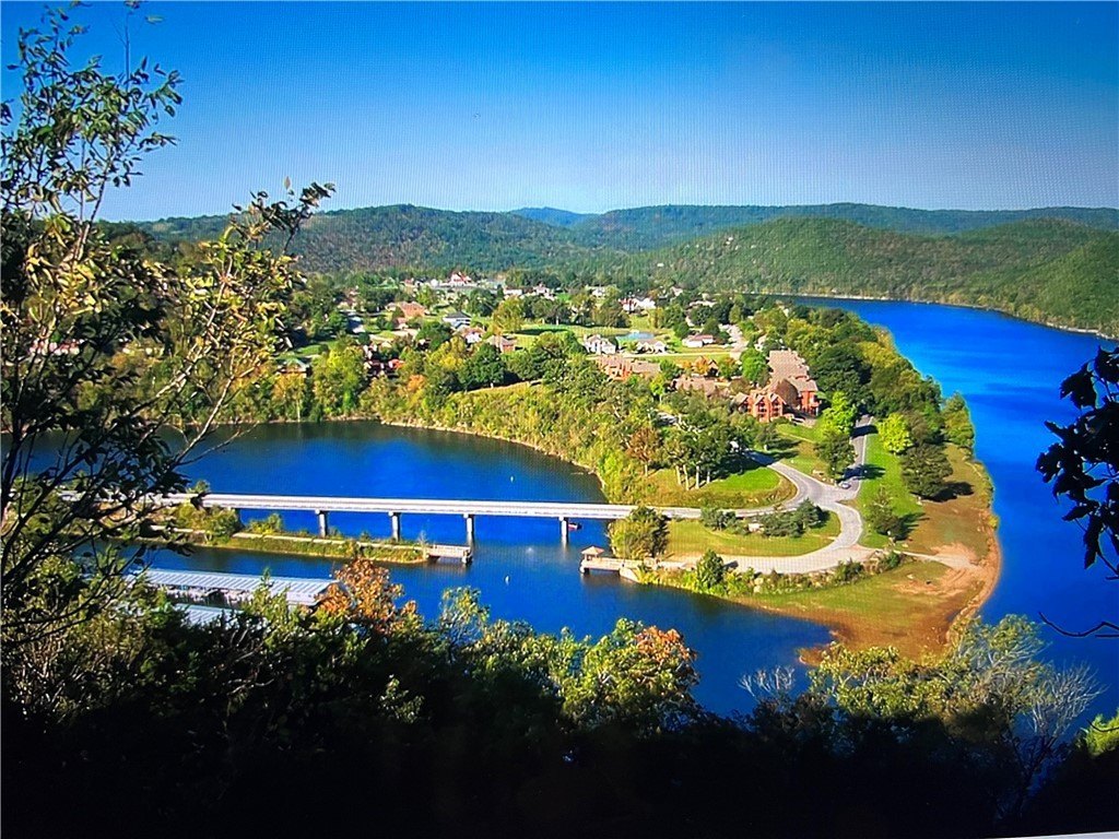 Picture 20