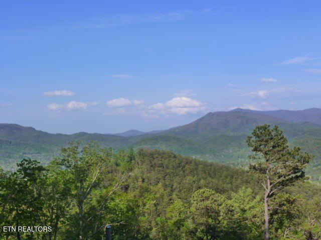 Picture 9