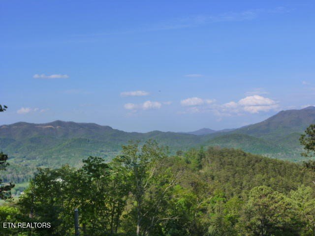 Picture 8
