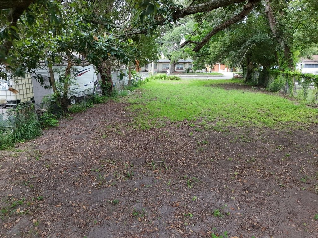 Picture 11