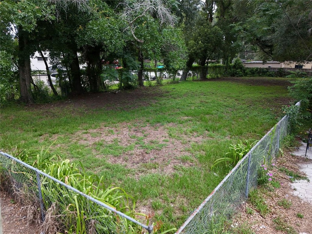 Picture 8