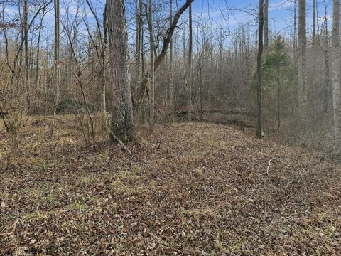 Land, Crossville, TN
