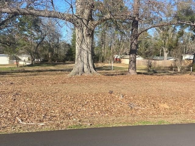 Residential Lot in Waynesboro, MS