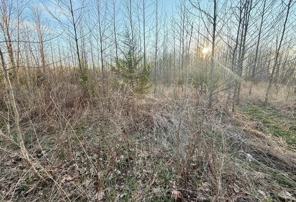 Picture 32