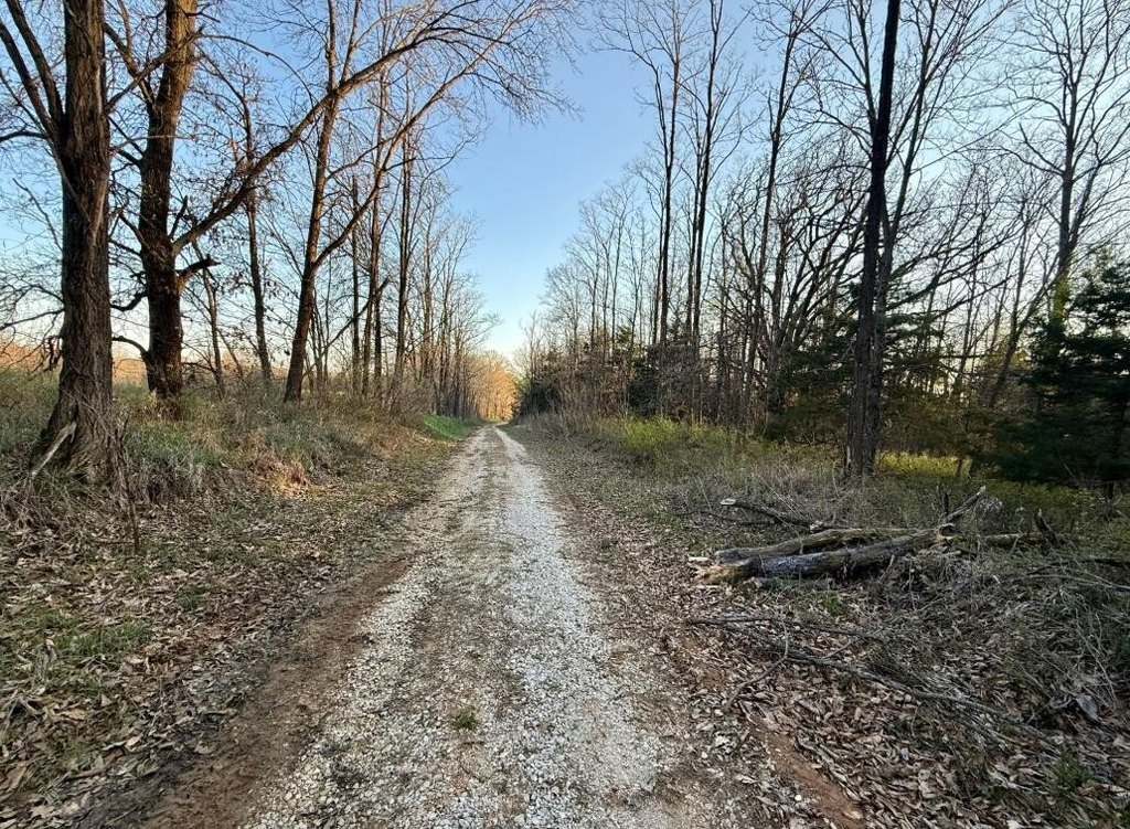 Picture 39